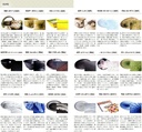 set-of-10-buckwheat-supplies-akakomasuji-3.jpg