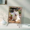 2-pack-12-inch-black-iron-plate-display--5.jpg