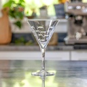rolf-glass-school-of-fish-martini-glass--4.jpg
