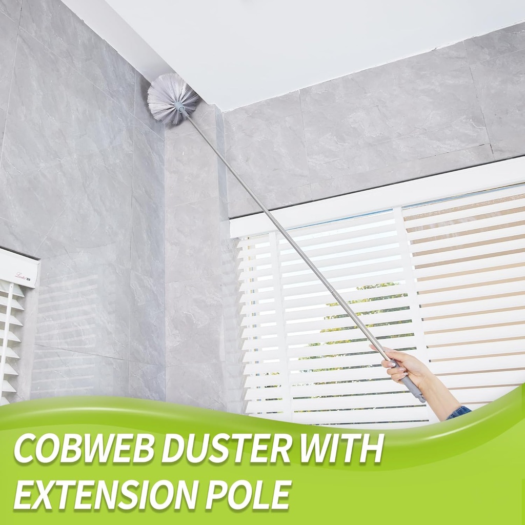 cobweb-duster-with-extension-pole-spider-2.jpg