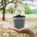 ebaokuup-10pcs-clear-plant-nursery-pots--5.jpg