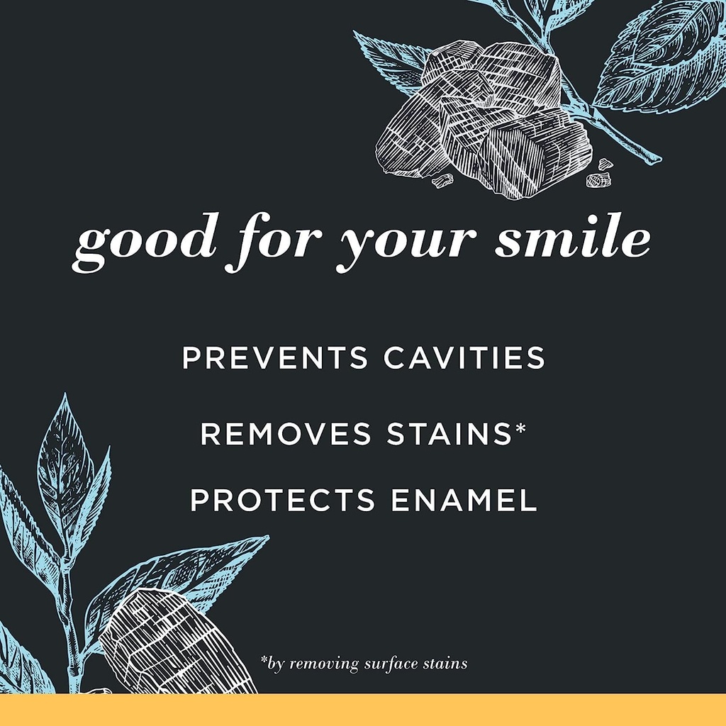 burts-bees-toothpaste-natural-flavor-cha-2.jpg