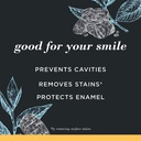 burts-bees-toothpaste-natural-flavor-cha-2.jpg