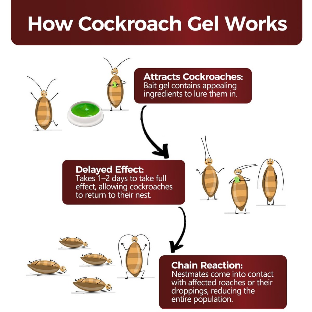 40-pack-roach-killer-indoor-infestation--4.jpg