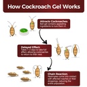 40-pack-roach-killer-indoor-infestation--4.jpg