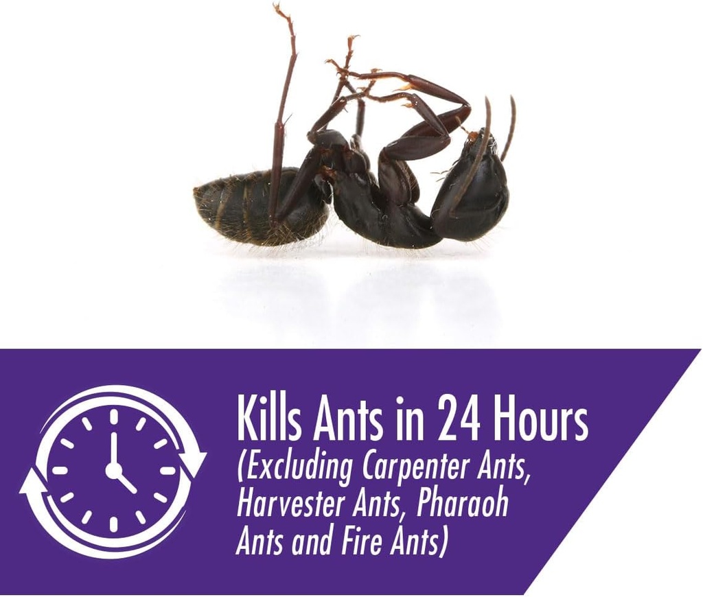 stem-liquid-ant-baits-kills-the-queen-an-4.jpg