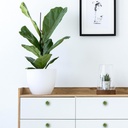 green-kiwi-4-pack-white-drawer-handles-c-5.jpg