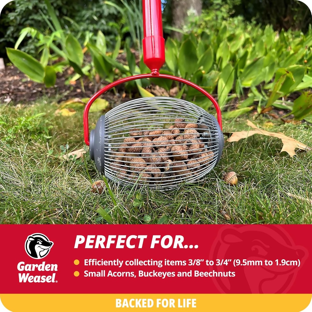 garden-weasel-nut-gatherer---small-cage--2.jpg