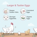 mile-four-chicken-grit-for-layer-grower--3.jpg
