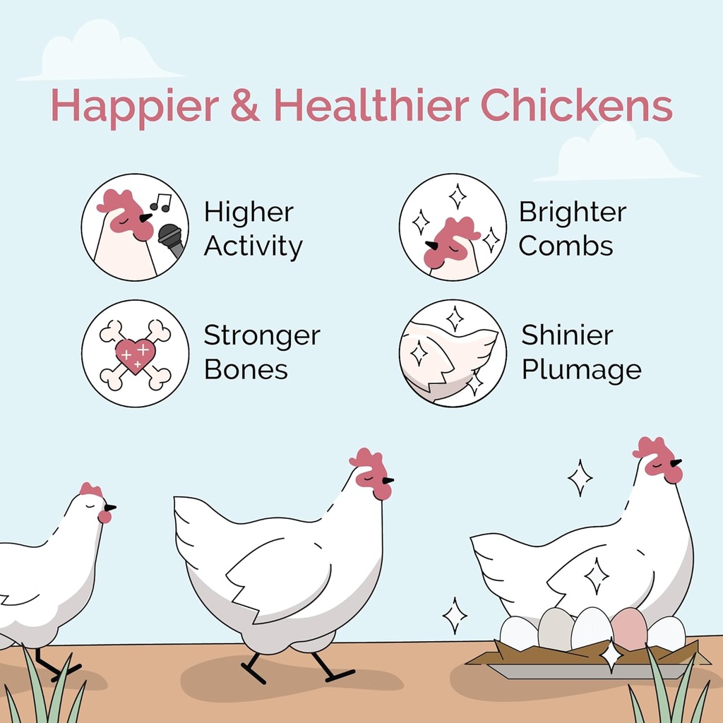mile-four-chicken-grit-for-layer-grower--4.jpg