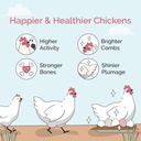 mile-four-chicken-grit-for-layer-grower--4.jpg