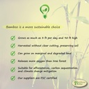 3mm-bamboozbetter-premium-bamboo-plywood-5.jpg