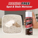 horsepower-bull-shot-carpet-spot-stain-r-2.jpg