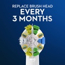 oral-b-flossaction-electric-toothbrush-r-4.jpg