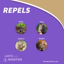 bonide-molemax-mole-vole-repellent-granu-3.jpg