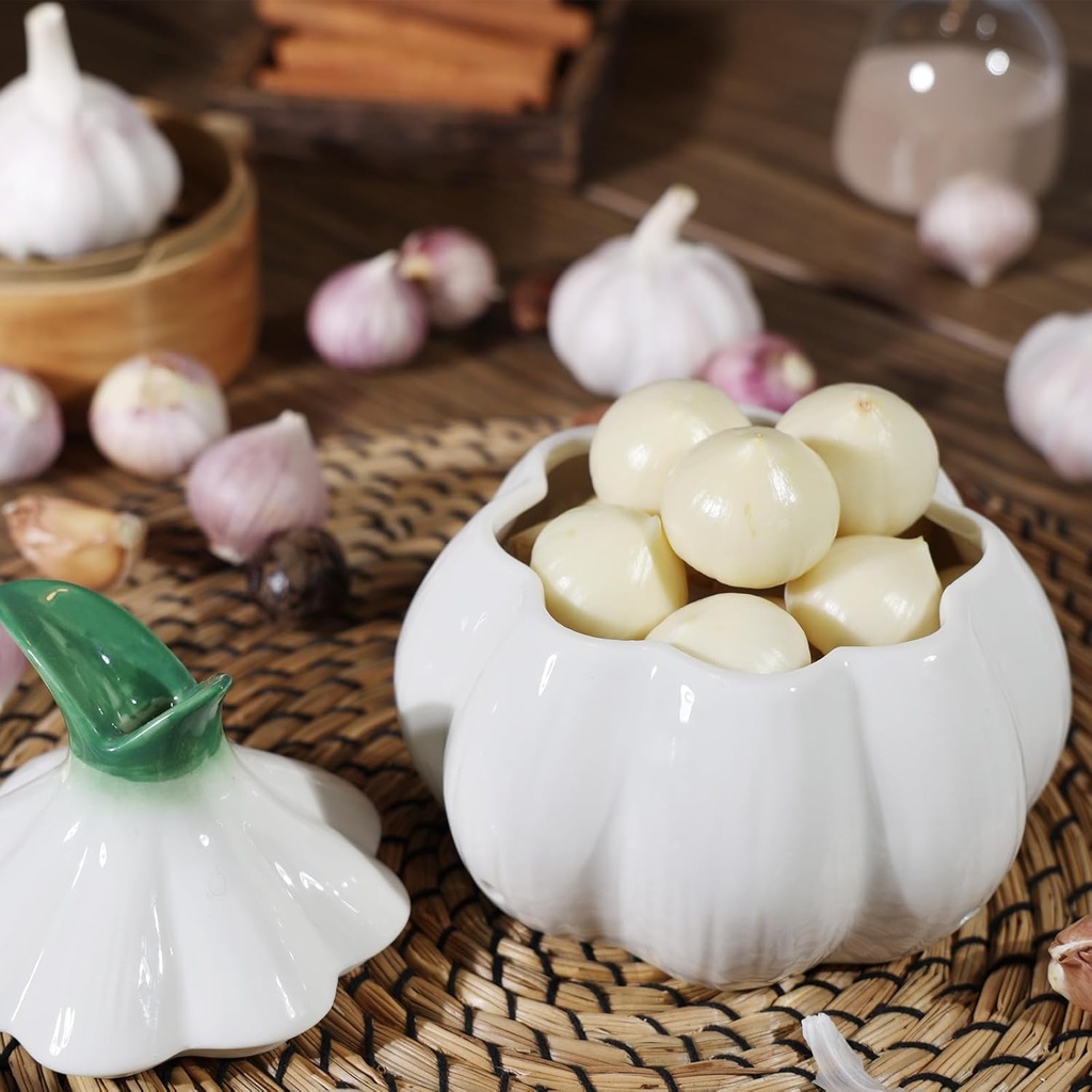 toivo-garlic-keeper-for-counterwith-lid--2.jpg