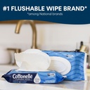 cottonelle-xl-flushable-wet-wipes-adult--2.jpg