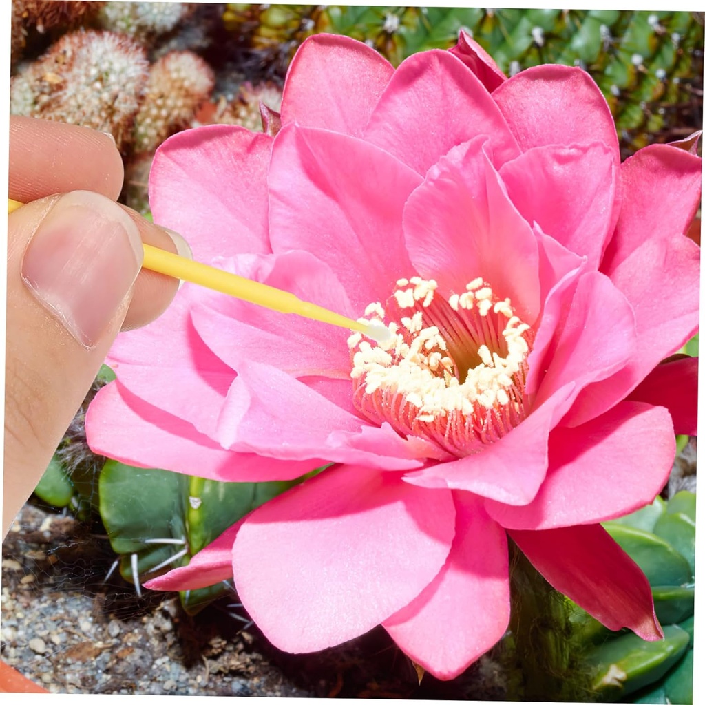 besportble-500pcs-manual-pollinator-tool-4.jpg