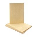 9-pack-116-x-12-x-17-inch-thin-birch-ply-4.jpg
