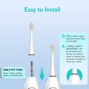 replacement-brush-heads-for-waterpik-son-5.jpg
