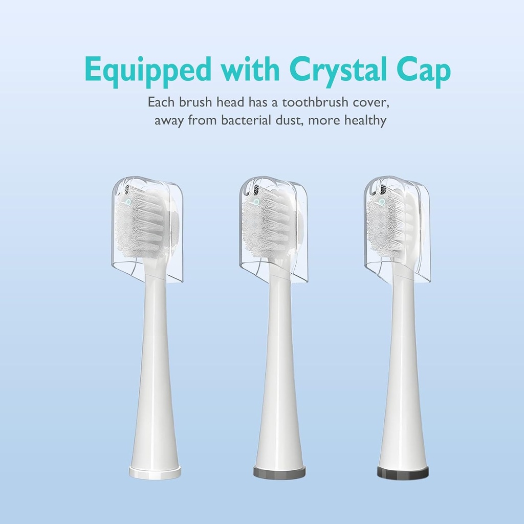 replacement-brush-heads-for-waterpik-son-6.jpg