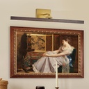 Wood Picture Lights for Wall, Gold Hardwired 27.5" Long LED Wall Picture Vintage Artwork Paintings Display Lighting Wall Lamp Bathroom Vanity Light Dimmable 5CCT